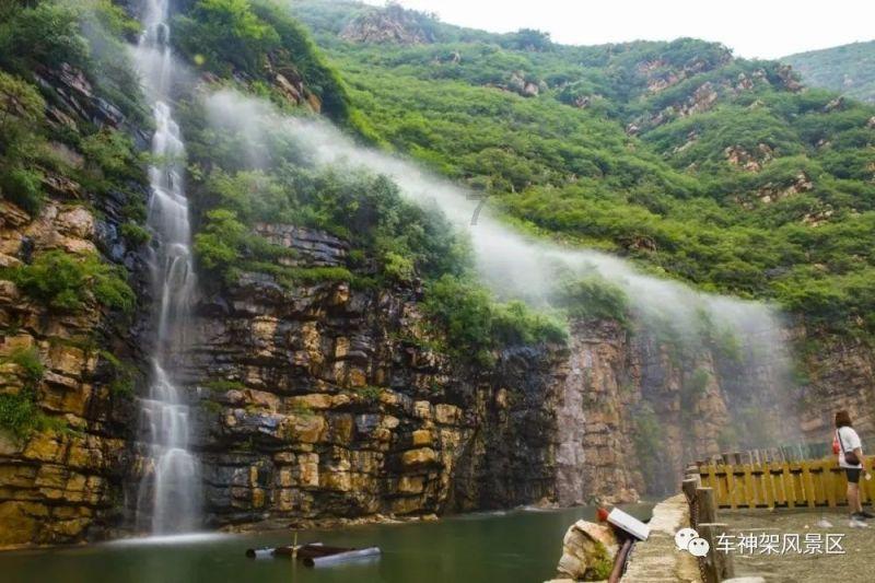 春雨直播app